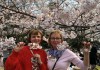 Весна в Японии на Diamond Princess с 15.03.19 - Туристическая компания "Гольфстрим"