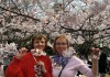 Весна в Японии  с 15.03.19 - Туристическая компания "Гольфстрим"